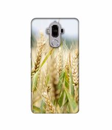 Amazon Brand - Solimo Designer Wheat Plant 3D Printed Hard Back Case Mobile Cover for Huawei Mate 9