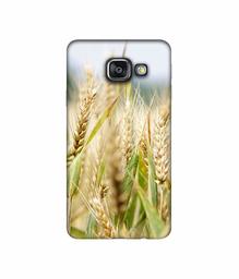 Amazon Brand - Solimo Designer Wheat Plant 3D Printed Hard Back Case Mobile Cover for Samsung Galaxy A3 (2016)