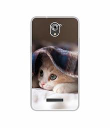 Amazon Brand - Solimo Designer Sleepy Kitten UV Printed Soft Back Case Mobile Cover for Coolpad Mega 3