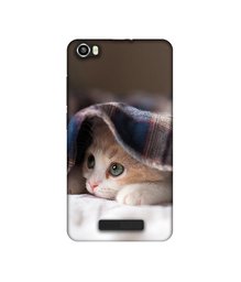 Amazon Brand - Solimo Designer Sleepy Kitten UV Printed Soft Back Case Mobile Cover for Lava Iris X8