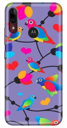 Amazon Brand - Solimo Designer Birds Patterns Design 3D Printed Hard Back Case Mobile Cover for Motorola Moto E6s / Motorola Moto E6 Plus