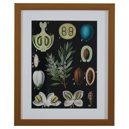 Rivet Blue and Green Mid-Century Modern Botanical Anatomy in Gold Frame Print Wall Art