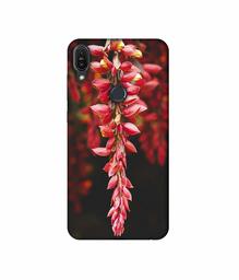 Amazon Brand - Solimo Designer Flowers Photograpy 3D Printed Hard Back Case Mobile Cover for Asus Zenfone Max Pro M1 ZB601KL