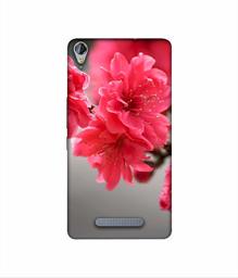 Amazon Brand - Solimo Designer Blossom Like Flower 3D Printed Hard Back Case Mobile Cover for Micromax Canvas Juice 3Plus Q394