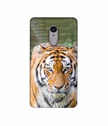 Amazon Brand - Solimo Designer Tiger in Water 3D Printed Hard Back Case Mobile Cover for Xiaomi Redmi Note 4