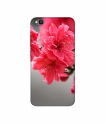 Amazon Brand - Solimo Designer Blossom Like Flower 3D Printed Hard Back Case Mobile Cover for Xiaomi Redmi Go