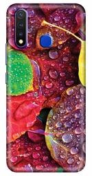 Amazon Brand - Solimo Designer Nature 3D Printed Hard Back Case Mobile Cover for Vivo Y19 / Vivo U20