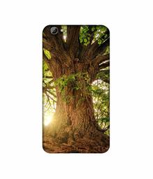 Amazon Brand - Solimo Designer Tree Trunk 3D Printed Hard Back Case Mobile Cover for Vivo Y66