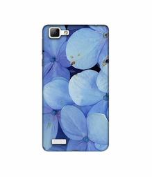 Amazon Brand - Solimo Designer Light Blue Flower Photography 3D Printed Hard Back Case Mobile Cover for Vivo V1