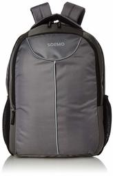 Amazon Brand - Solimo Laptop Backpack for 15.6-inch Laptops (27 litres, Grey)