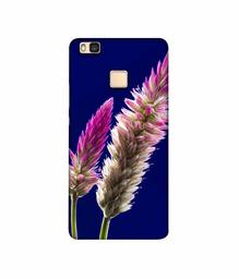 Amazon Brand - Solimo Designer Wheat Flower 3D Printed Hard Back Case Mobile Cover for Huawei P9 lite