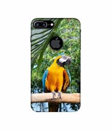 Amazon Brand - Solimo Designer Macaw Bird 3D Printed Hard Back Case Mobile Cover for Apple iPhone 7 Plus (Logo Cut)