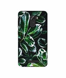 Amazon Brand - Solimo Designer Leaf Imperation 3D Printed Hard Back Case Mobile Cover for Gionee A1 Lite