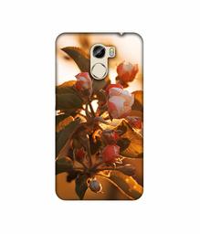 Amazon Brand - Solimo Designer Flowers 3D Printed Hard Back Case Mobile Cover for Gionee X1