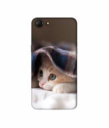 Amazon Brand - Solimo Designer Sleepy Kitten 3D Printed Hard Back Case Mobile Cover for Oppo A83