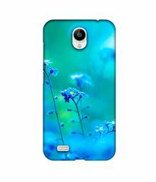 Amazon Brand - Solimo Designer Blue Flower 3D Printed Hard Back Case Mobile Cover for Vivo Y21L