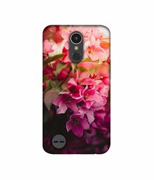 Amazon Brand - Solimo Designer Blossom Weather UV Printed Soft Back Case Mobile Cover for LG K10 (2017)