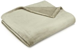 Pinzon Velvet Plush Blanket