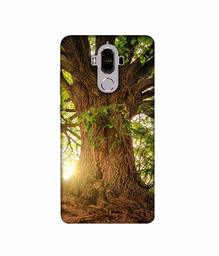 Amazon Brand - Solimo Designer Tree Trunk 3D Printed Hard Back Case Mobile Cover for Huawei Mate 9