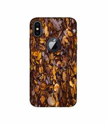 Amazon Brand - Solimo Designer Dry Leafs 3D Printed Hard Back Case Mobile Cover for Apple iPhone X (Logo Cut)