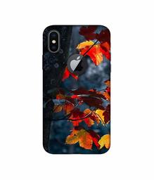 Amazon Brand - Solimo Designer Autumn Leaf 3D Printed Hard Back Case Mobile Cover for Apple iPhone X (Logo Cut)