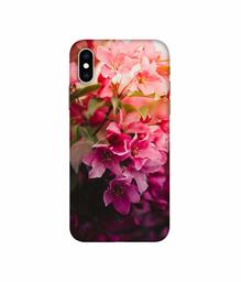 Amazon Brand - Solimo Designer Blossom Weather 3D Printed Hard Back Case Mobile Cover for Apple iPhone Xs Max