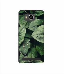 Amazon Brand - Solimo Designer Leafs 3D Printed Hard Back Case Mobile Cover for Lenovo A7700