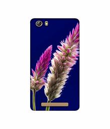 Amazon Brand - Solimo Designer Wheat Flower 3D Printed Hard Back Case Mobile Cover for Gionee Marathon M5 lite