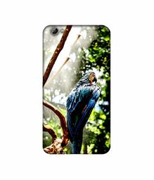 Amazon Brand - Solimo Designer Macaw Parrot 3D Printed Hard Back Case Mobile Cover for Vivo Y66