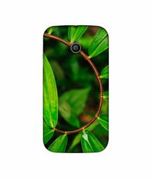 Amazon Brand - Solimo Designer Leaf Photography 3D Printed Hard Back Case Mobile Cover for Motorola Moto E 1st Generation