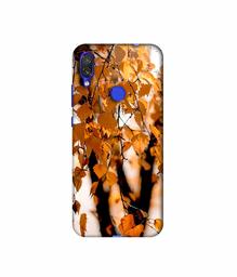 Amazon Brand - Solimo Designer Autumn Photography 3D Printed Hard Back Case Mobile Cover for Xiaomi Redmi Note 7 Pro