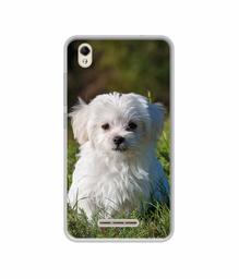 Amazon Brand - Solimo Designer White Dog UV Printed Soft Back Case Mobile Cover for Lava Z60