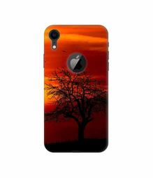 Amazon Brand - Solimo Designer Nature View 3D Printed Hard Back Case Mobile Cover for Apple iPhone XR (Logo Cut)