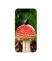 Amazon Brand - Solimo Designer Red Mushroom 3D Printed Hard Back Case Mobile Cover for Apple iPhone XR (Logo Cut)