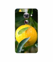 Amazon Brand - Solimo Designer Lemon 3D Printed Hard Back Case Mobile Cover for LeEco Le Max 2