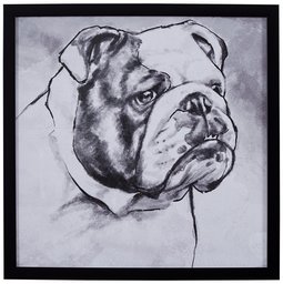 Amazon Brand – Stone & Beam Modern Black and White Print Wall Art of English Bulldog, Black Frame, 22