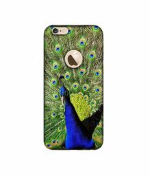 Amazon Brand - Solimo Designer Peacock 3D Printed Hard Back Case Mobile Cover for Apple iPhone 6 / 6S (Logo Cut)