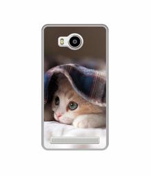 Amazon Brand - Solimo Designer Sleepy Kitten UV Printed Soft Back Case Mobile Cover for Lenovo A7700