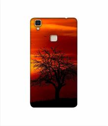 Amazon Brand - Solimo Designer Nature View 3D Printed Hard Back Case Mobile Cover for Vivo V3 Max