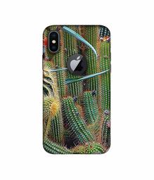 Amazon Brand - Solimo Designer Cactus 3D Printed Hard Back Case Mobile Cover for Apple iPhone X (Logo Cut)