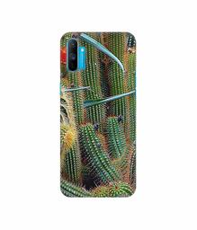 Amazon Brand - Solimo Designer Cactus 3D Printed Hard Back Case Mobile Cover for Realme C3