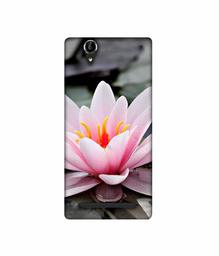 Amazon Brand - Solimo Designer Lotus 3D Printed Hard Back Case Mobile Cover for Sony Xperia T2 Ultra