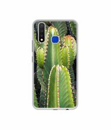 Amazon Brand - Solimo Designer Desert Plant UV Printed Soft Back Case Mobile Cover for Vivo U20