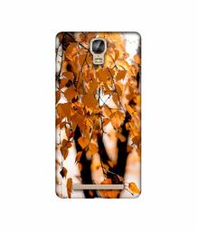 Amazon Brand - Solimo Designer Autumn Photography 3D Printed Hard Back Case Mobile Cover for Gionee Marathon M5 Plus