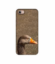 Amazon Brand - Solimo Designer Duck Face 3D Printed Hard Back Case Mobile Cover for Vivo Y81i