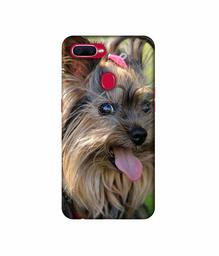 Amazon Brand - Solimo Designer Hairy Puppy 3D Printed Hard Back Case Mobile Cover for Oppo F9