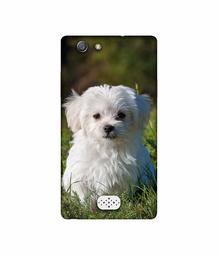 Amazon Brand - Solimo Designer White Dog UV Printed Soft Back Case Mobile Cover for Oppo Neo 5 (2015)