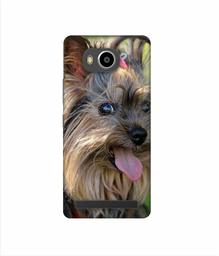 Amazon Brand - Solimo Designer Hairy Puppy 3D Printed Hard Back Case Mobile Cover for Lenovo A7700