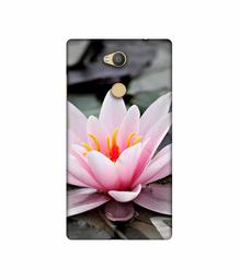 Amazon Brand - Solimo Designer Lotus 3D Printed Hard Back Case Mobile Cover for Sony Xperia L2