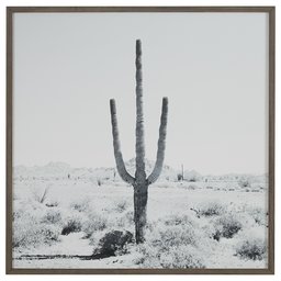 Amazon Brand – Stone & Beam Modern Black and White Desert Cactus Photo on Wood, Grey Frame, 30